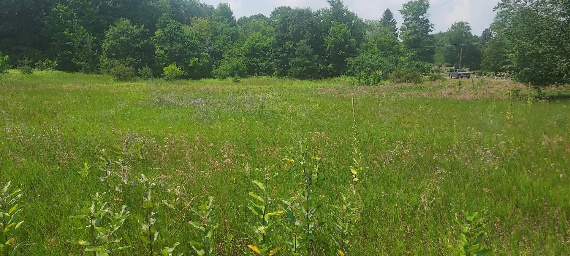 Lots & Land-Other in Coral - Coral, Michigan, 49322
