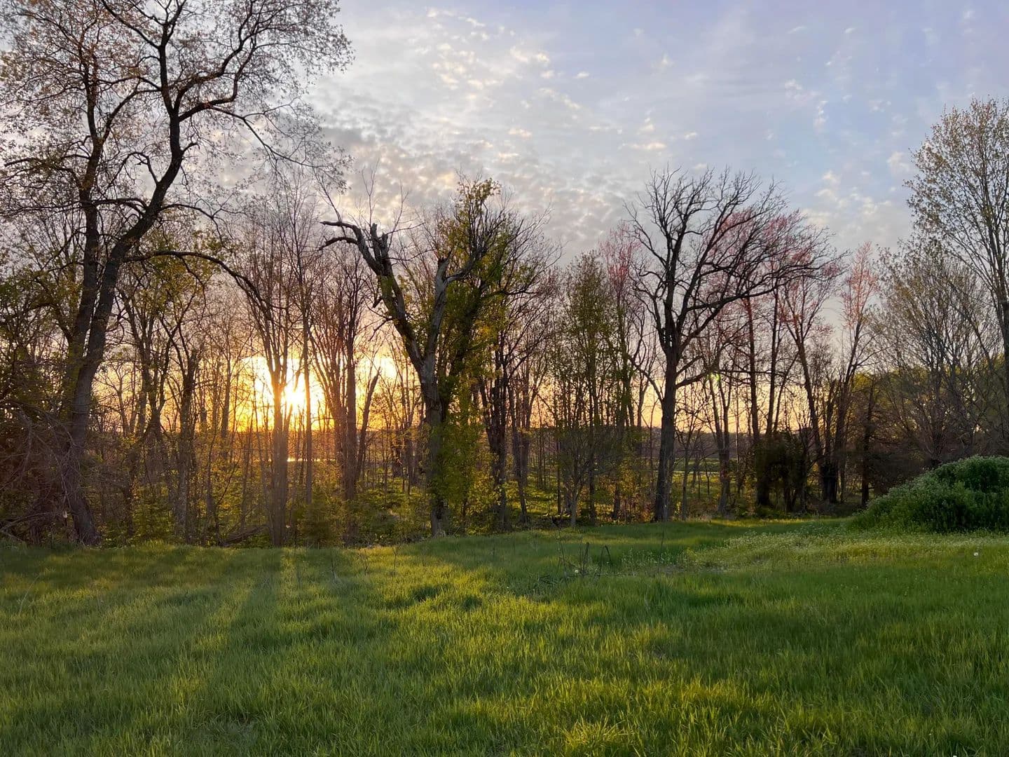 Vacant Land in Farmington - Farmington, Wisconsin, 53021