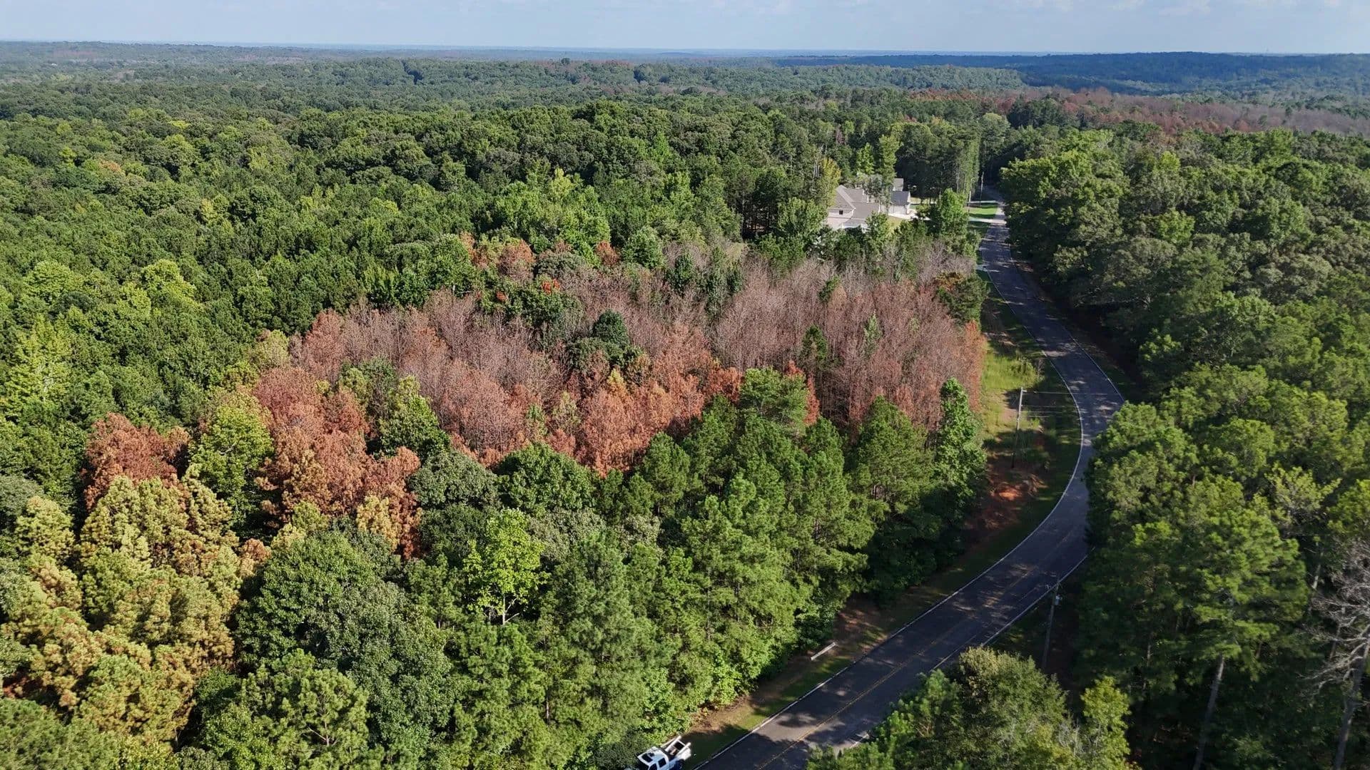 Tract B - Cool Springs Rd, Douglas Co., GA - Winston, Georgia, 30187