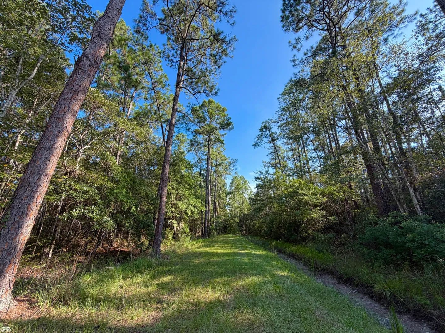 Waveland Hunting & Recreation Tract - Bay Saint Louis, Mississippi, 39520