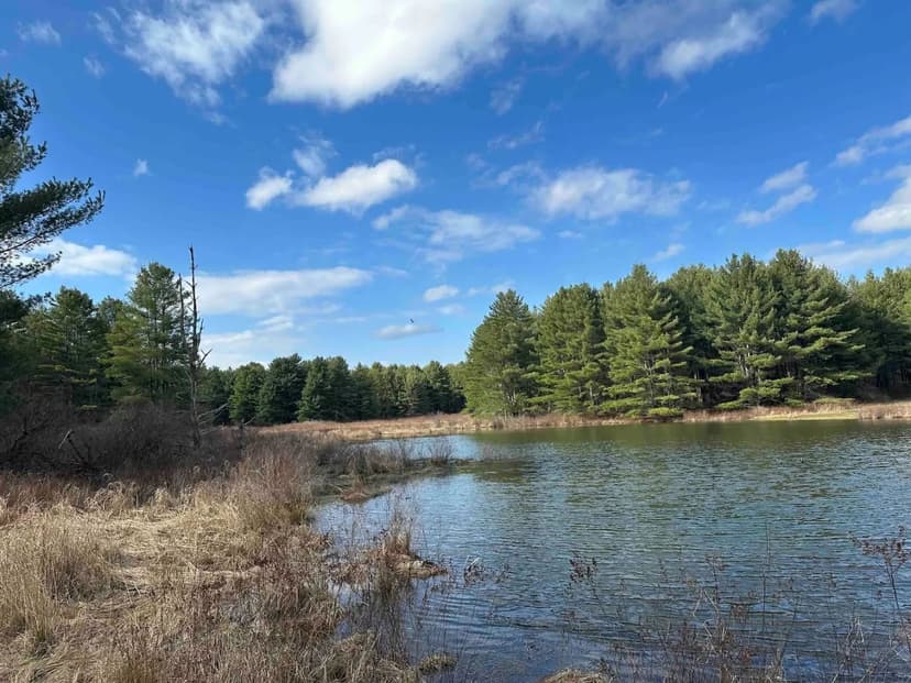 161 acre Private Country Estate with Trout Stream, Pond and Woods in Harpursville NY 219 Martin Hill Rd