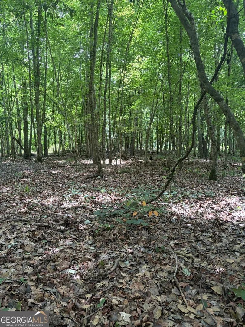 Property from 3 Sunhill Grange Road - KW - Davisboro, Georgia, 31018