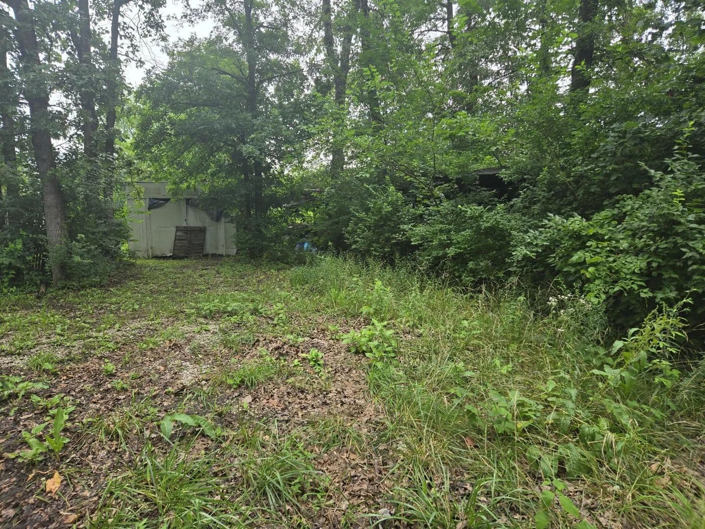 Lots & Land-Other in Flemington - Flemington, Missouri, 65650