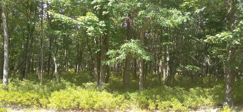 Lots & Land-Other in Hazle Twp