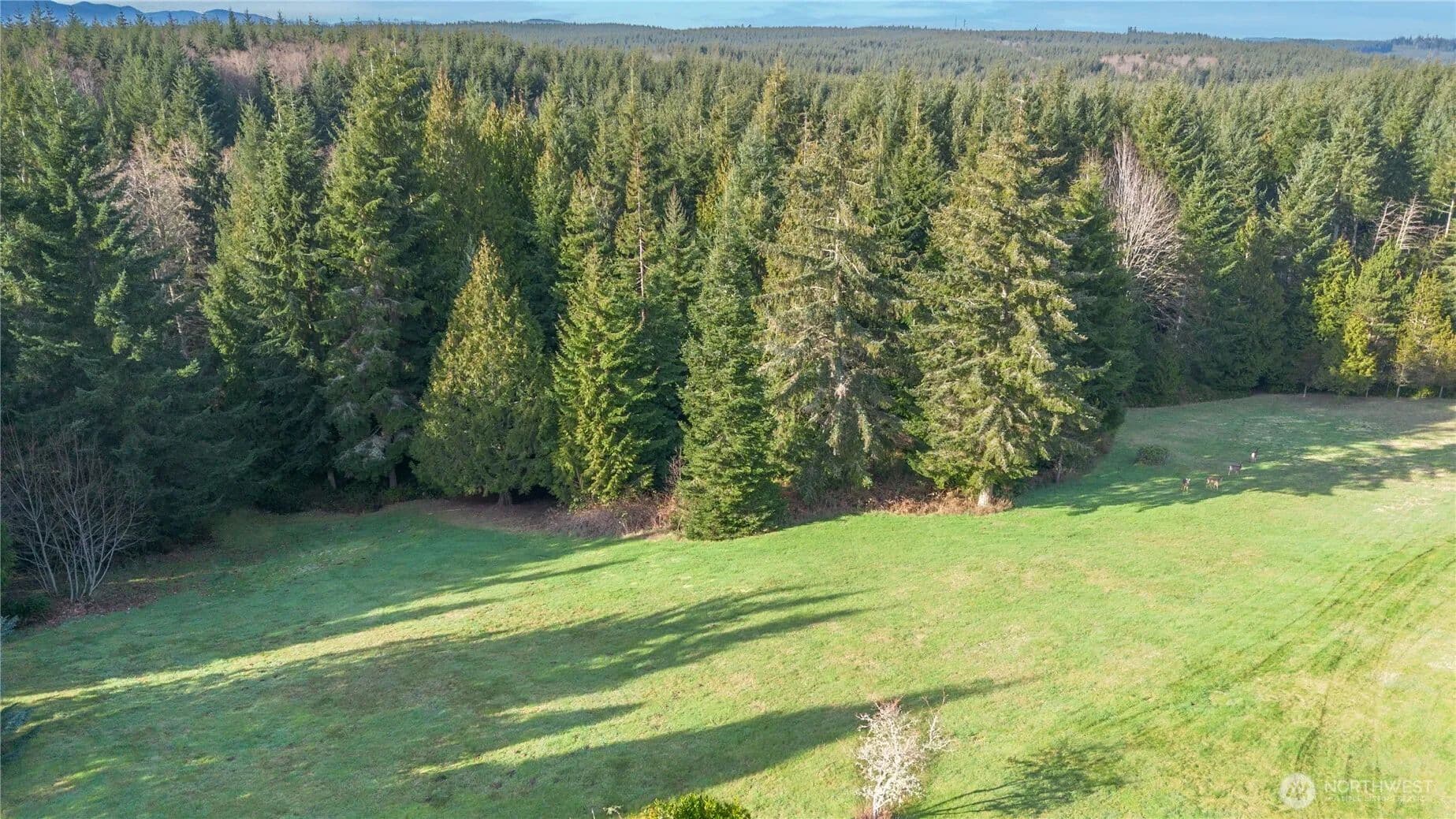 Vacant Land in Port Ludlow - Port Ludlow, Washington, 98365