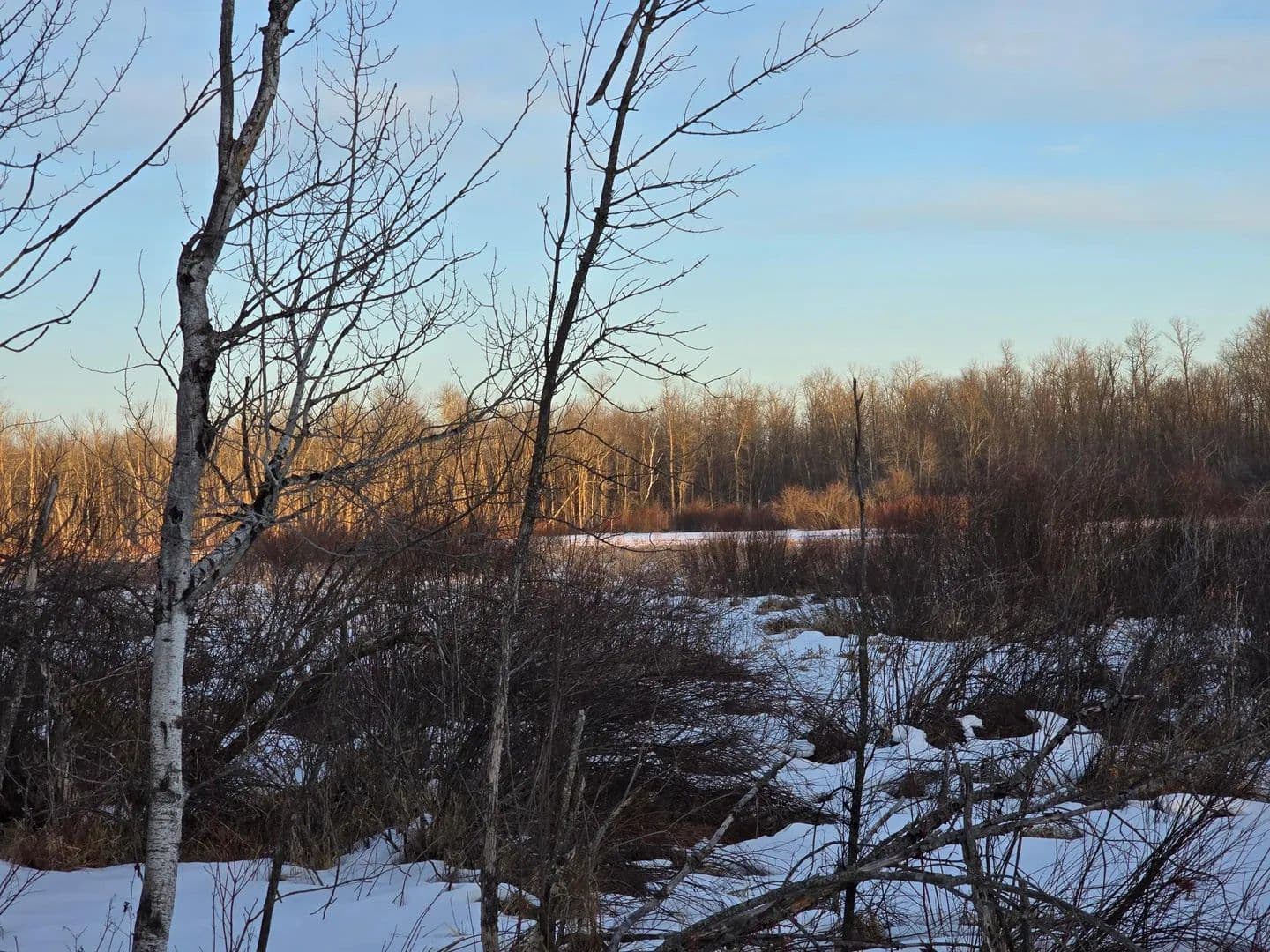 Land -Single Family Acreage in Isle - Isle, Minnesota, 56342
