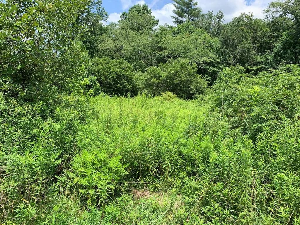 17.76 Acres of Land for Sale in Murphy, NC - Murphy, North Carolina, 28906