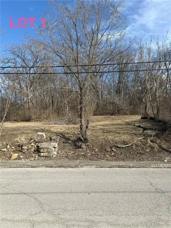 Property from 631 N Main Street - KW - Excelsior Springs, Missouri, 64024