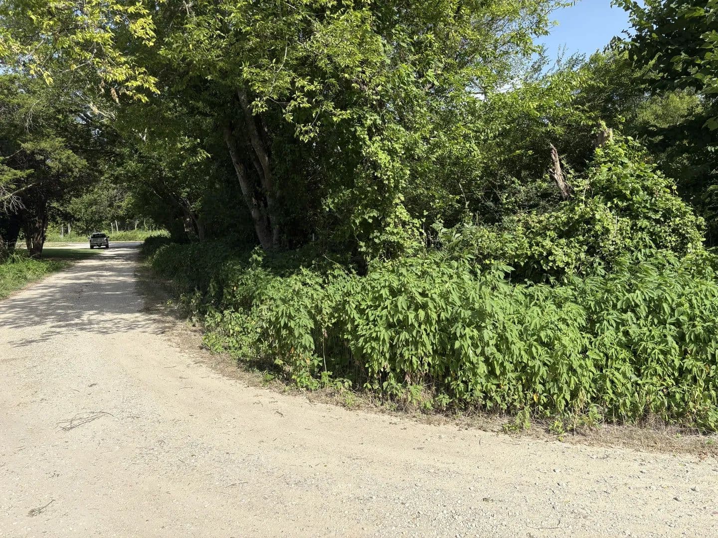 Land -Single Family Acreage in Mabank - Mabank, Texas, 75147