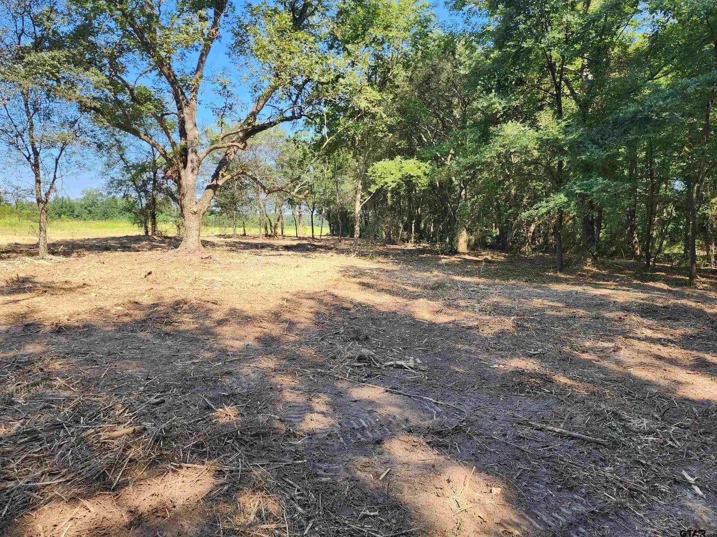 Lots & Land-Other in Pittsburg - Pittsburg, Texas, 75686