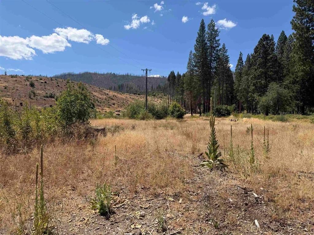 Vacant Land in Greenville - Greenville, California, 95947