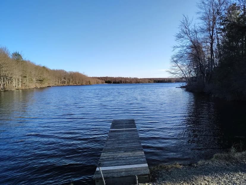 Lots & Land-Other in Gouldsboro