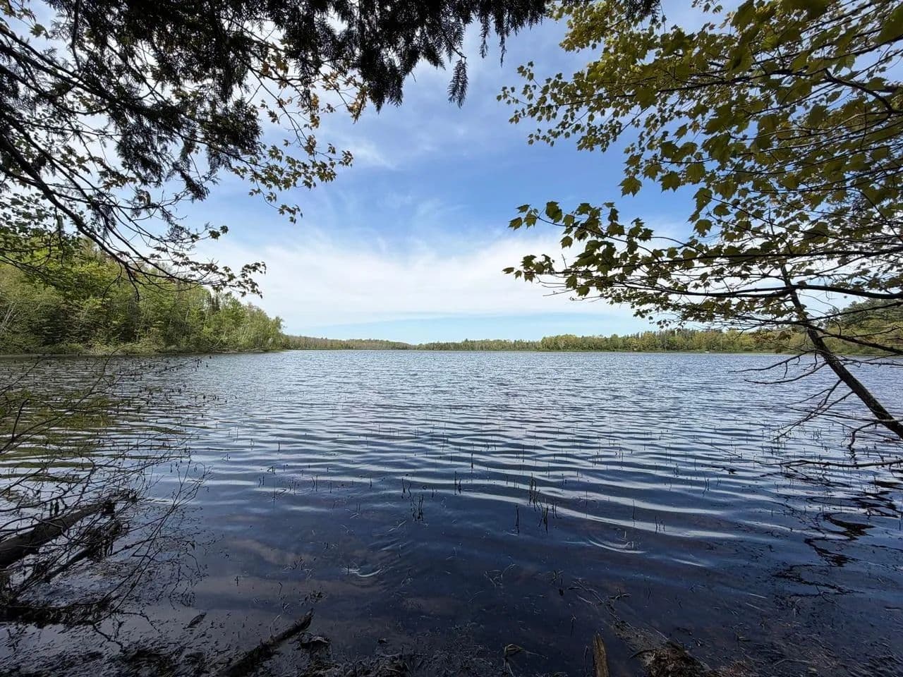 Vacant Land (0-10 Acres) in Mercer - Mercer, Wisconsin, 54547