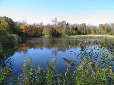 Gallo Family Retreat