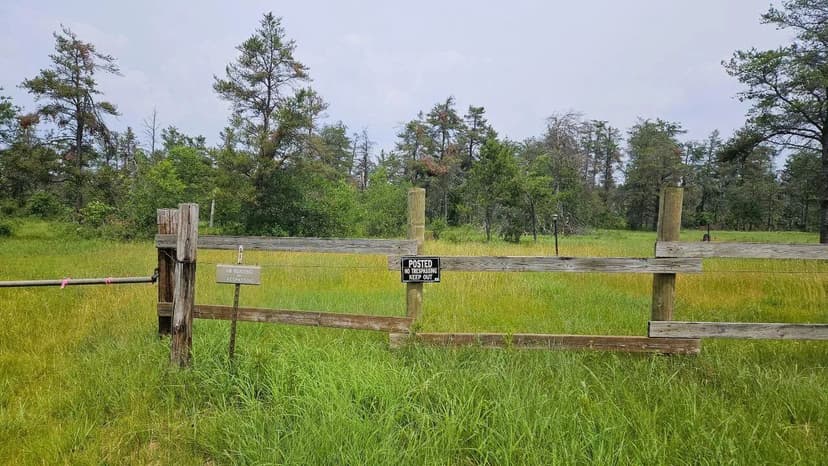 Lots & Land-Other in Lovells