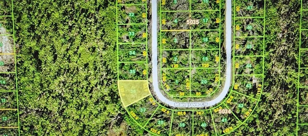 Vacant Land in Port Charlotte - Port Charlotte, Florida, 33981