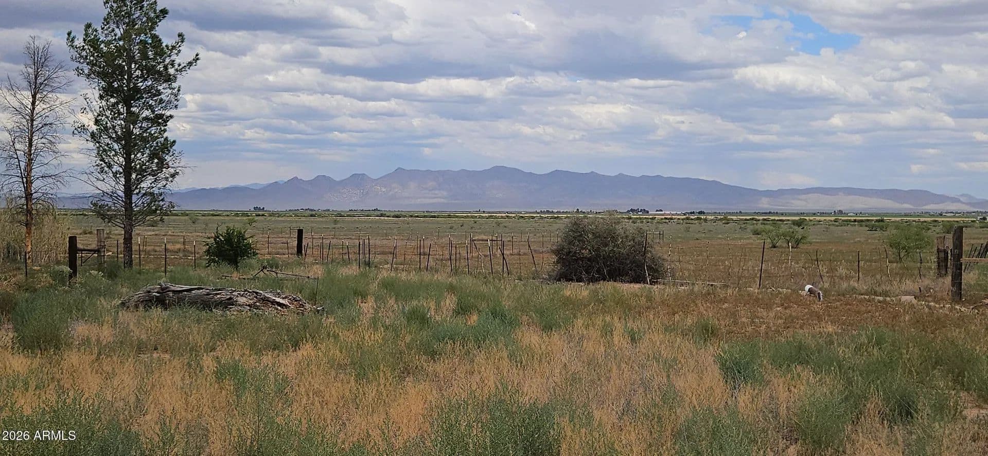52.16 Acres of Land for Sale in McNeal, AZ - Mcneal, Arizona, 85617