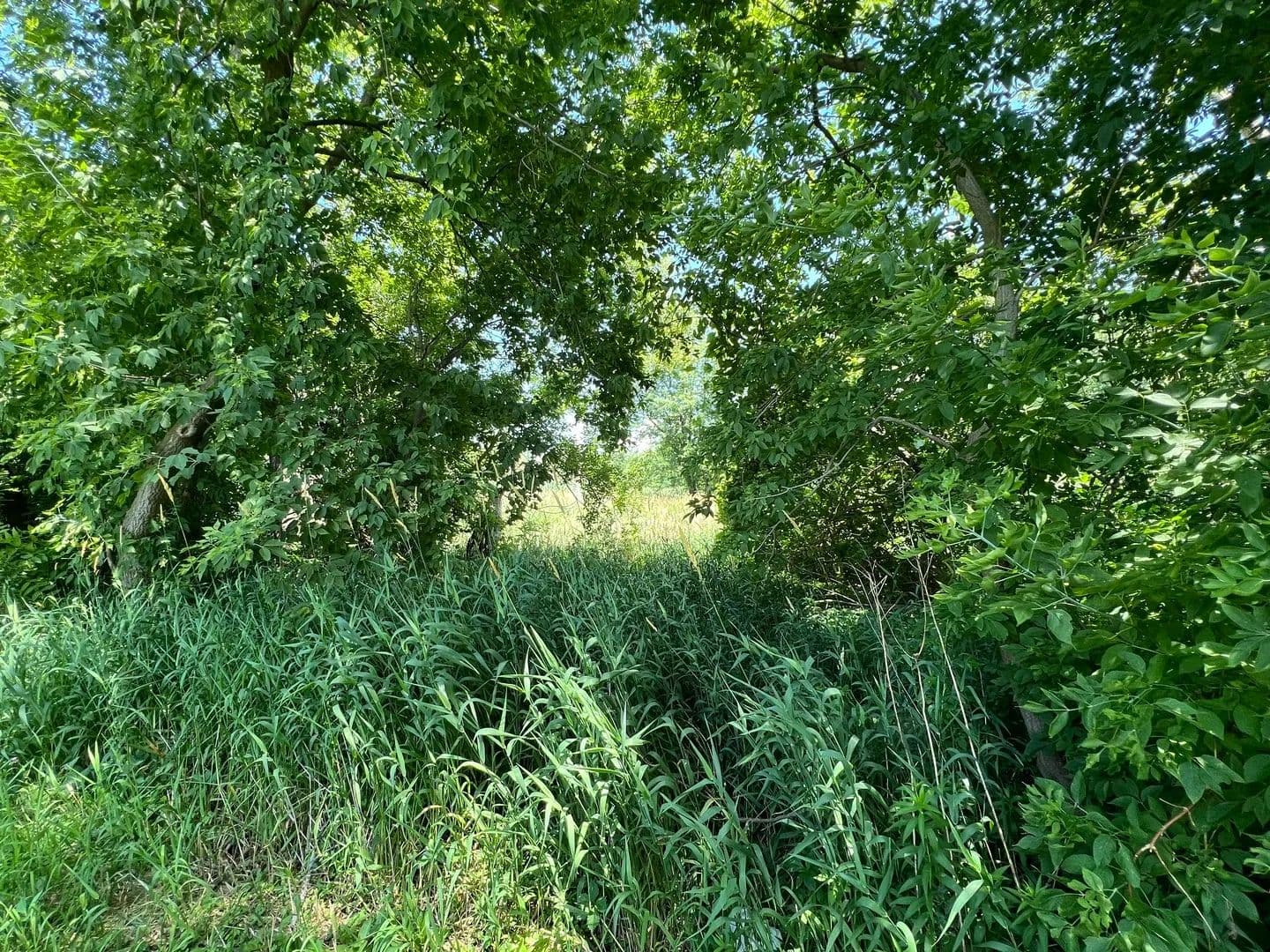 Vacant Land in Ingleside - Ingleside, Illinois, 60041