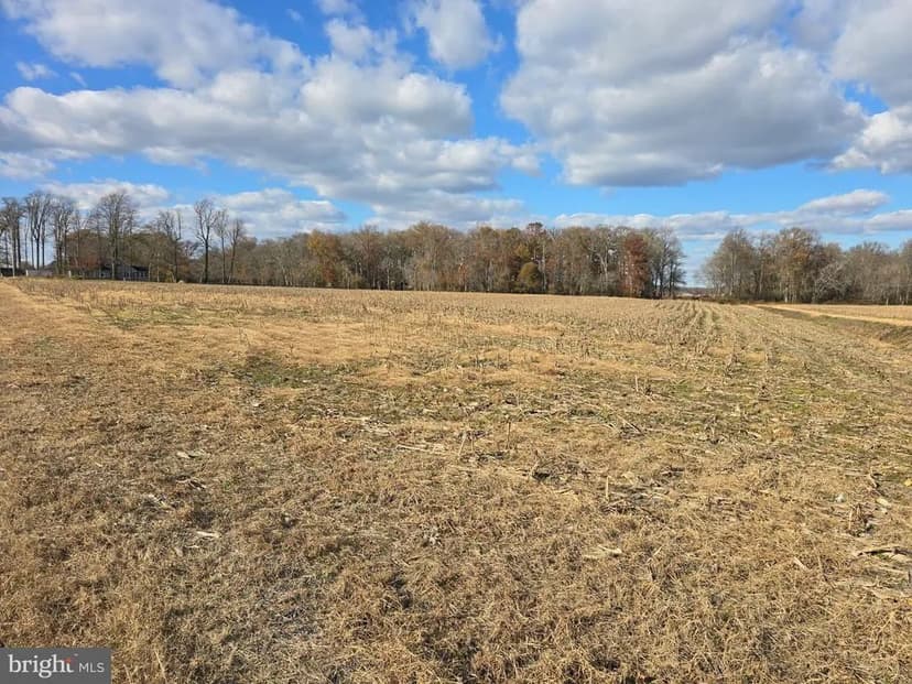 Property from 0 Lot 1 POPLAR NECK #ROAD - KW