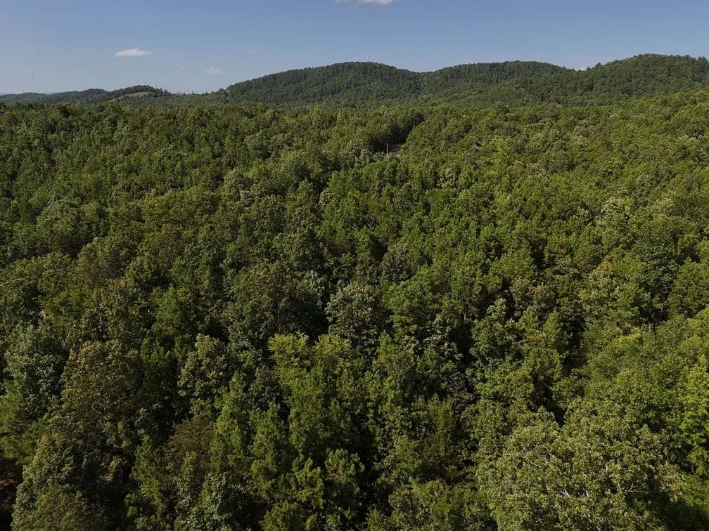 Land -Single Family Acreage in Mena - Mena, Arkansas, 71953