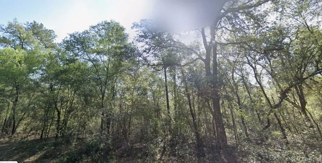 0.23 Acres of Land for Sale in Dunnellon, FL - Dunnellon, Florida, 34434