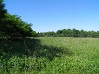 Harbor Meadows Commercial