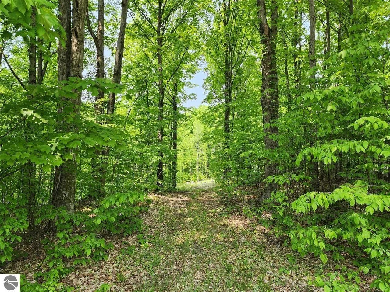Vacant Land in Traverse City - Traverse City, Michigan, 49684