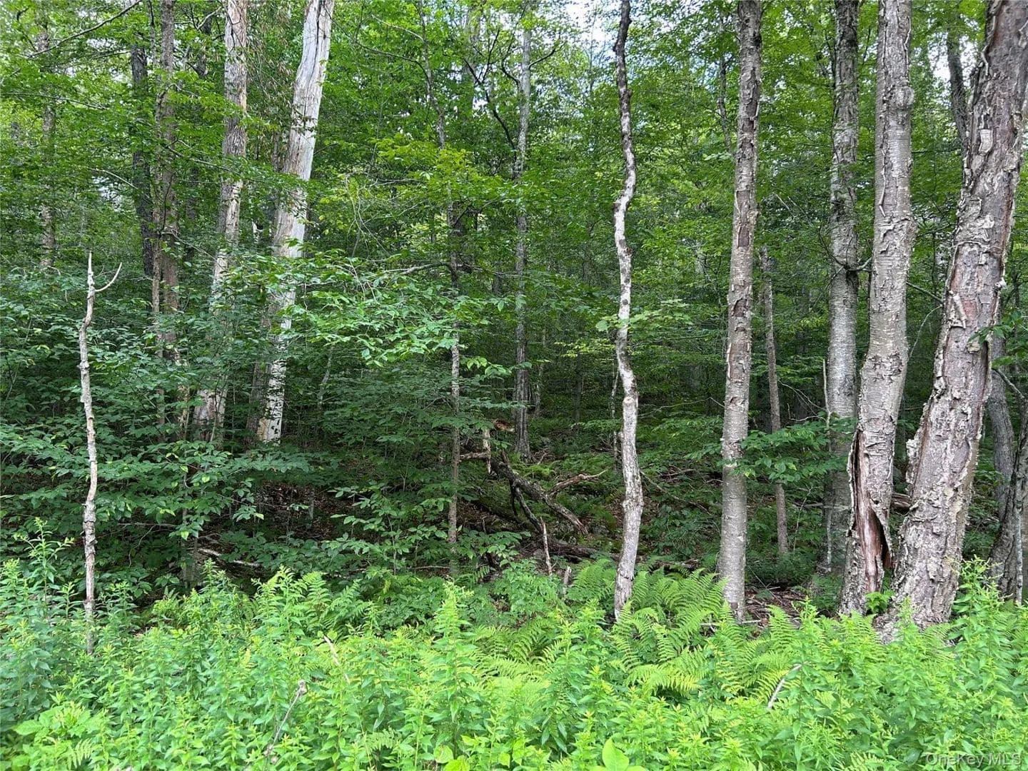 Land -Single Family Acreage in Claryville - Claryville, New York, 12725