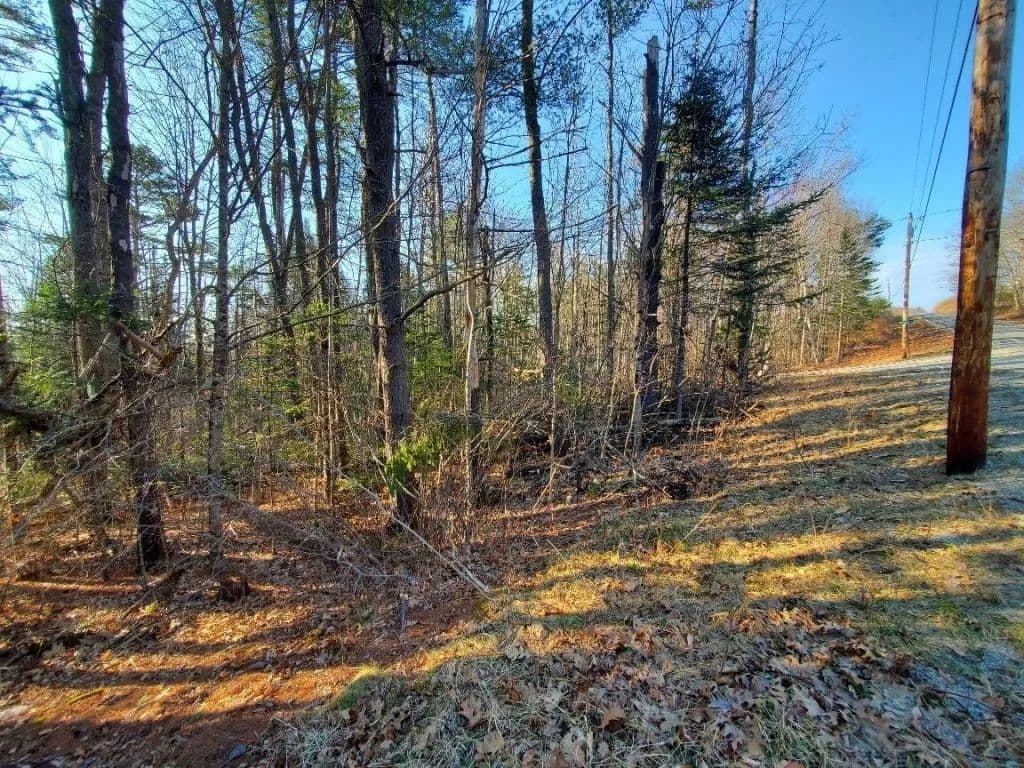 Land -Single Family Acreage in Winterport - Winterport, Maine, 04496