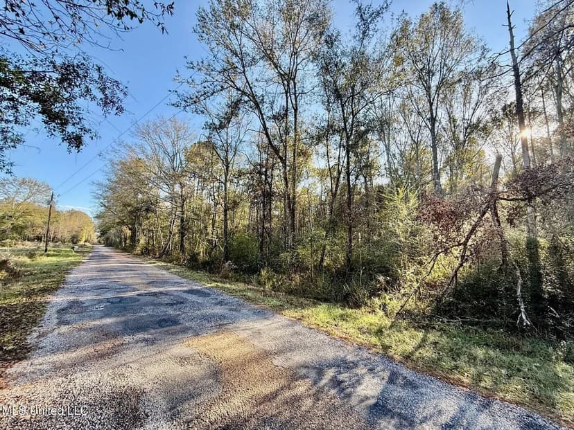 10 Acres Wooded Homesite & Hunting Tract in Smithdale, MS