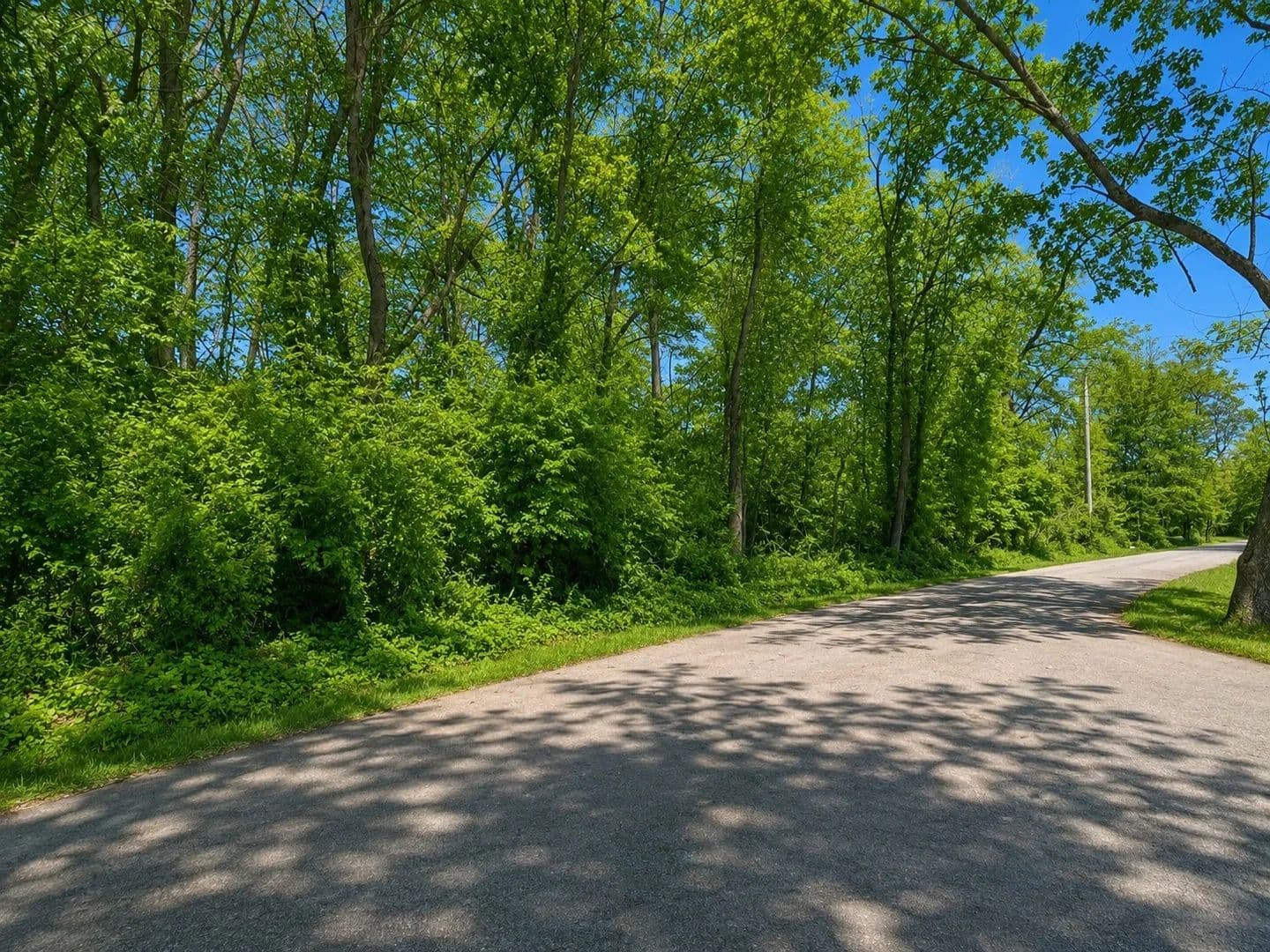 Vacant Land in Clarksville - Clarksville, Tennessee, 37043