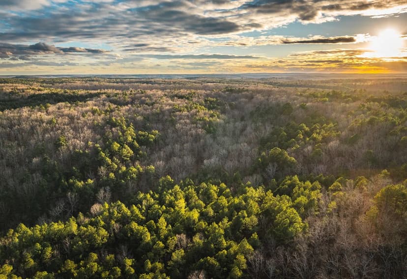 119.26± Acres of Prime Missouri Hunting & Homestead Opportunity – Texas County