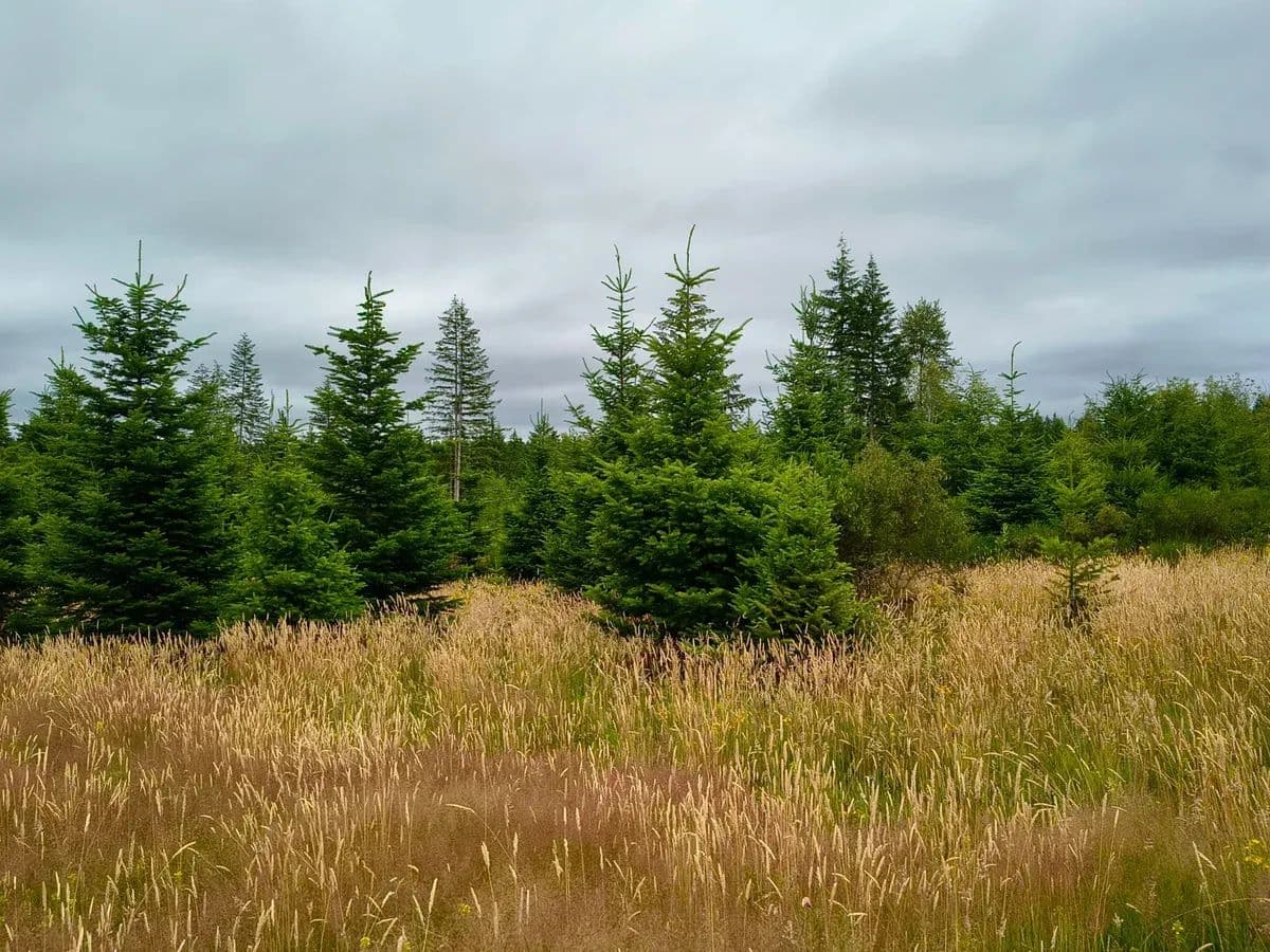 Delphi Rd - Olympia, Washington, 98512