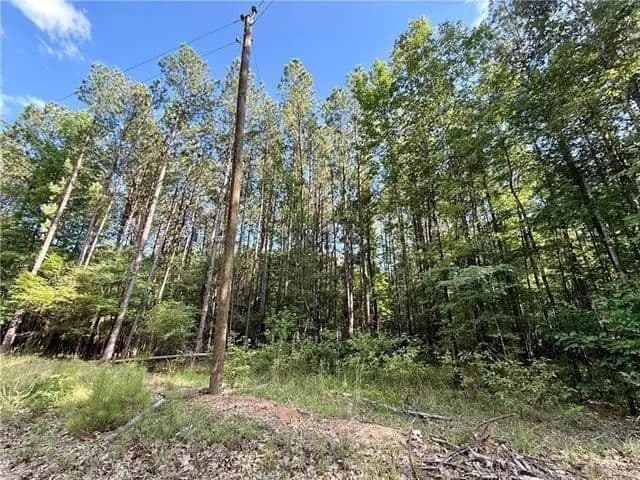 Lots & Land-Other in Olla - Olla, Louisiana, 71465