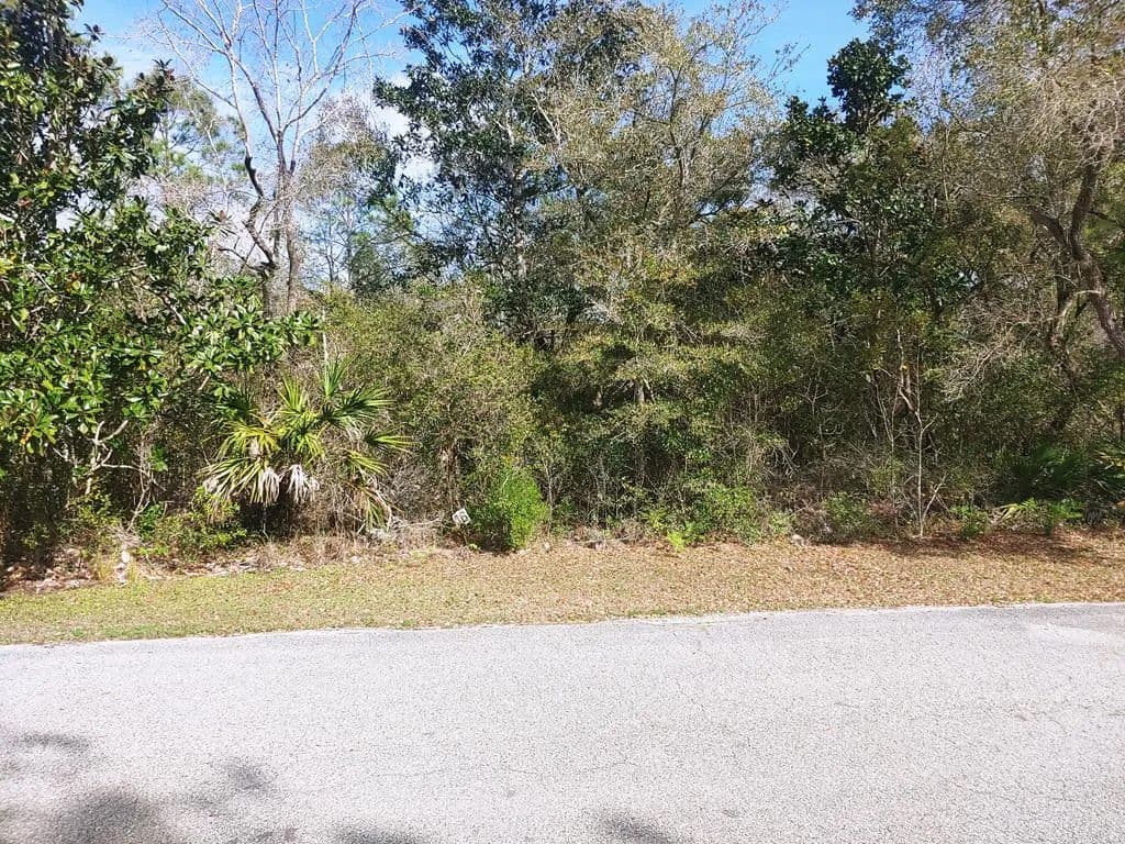Property from 125 Water Oaks Way - KW - Apalachicola, Florida, 32320