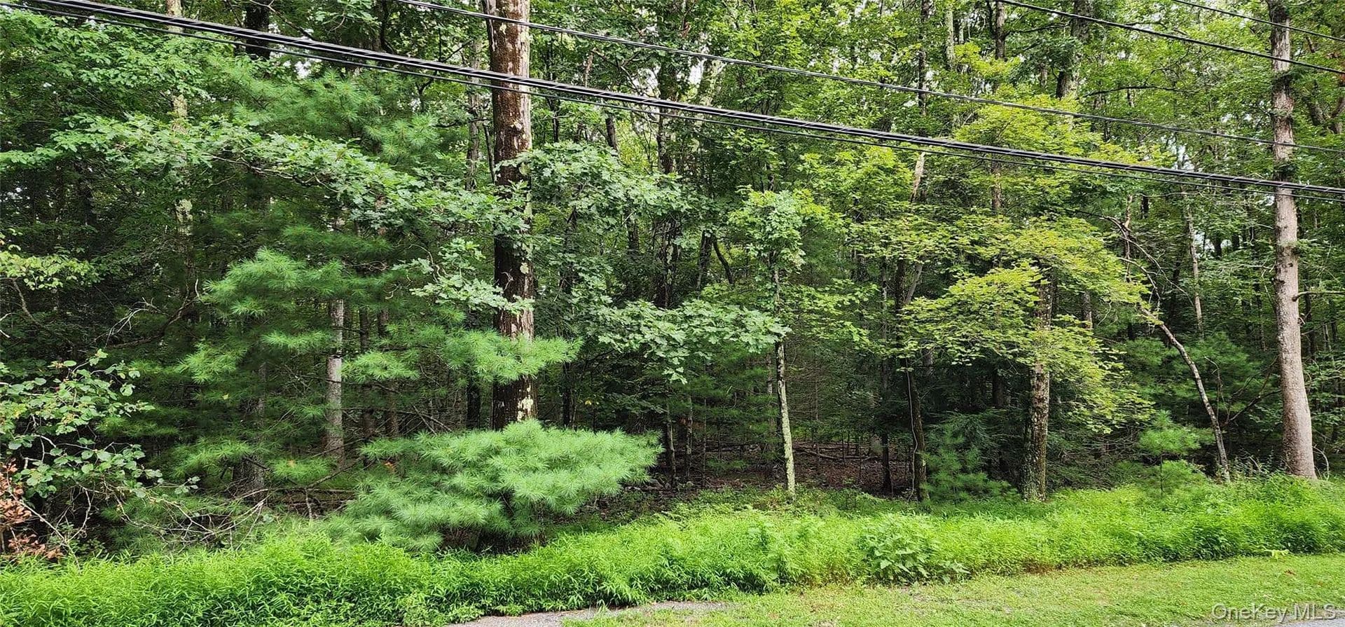 Land for Sale in Sparrowbush, NY - New York, 12780
