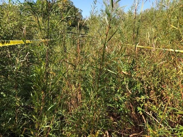 Vacant Land in Mettawa - Mettawa, Illinois, 60048