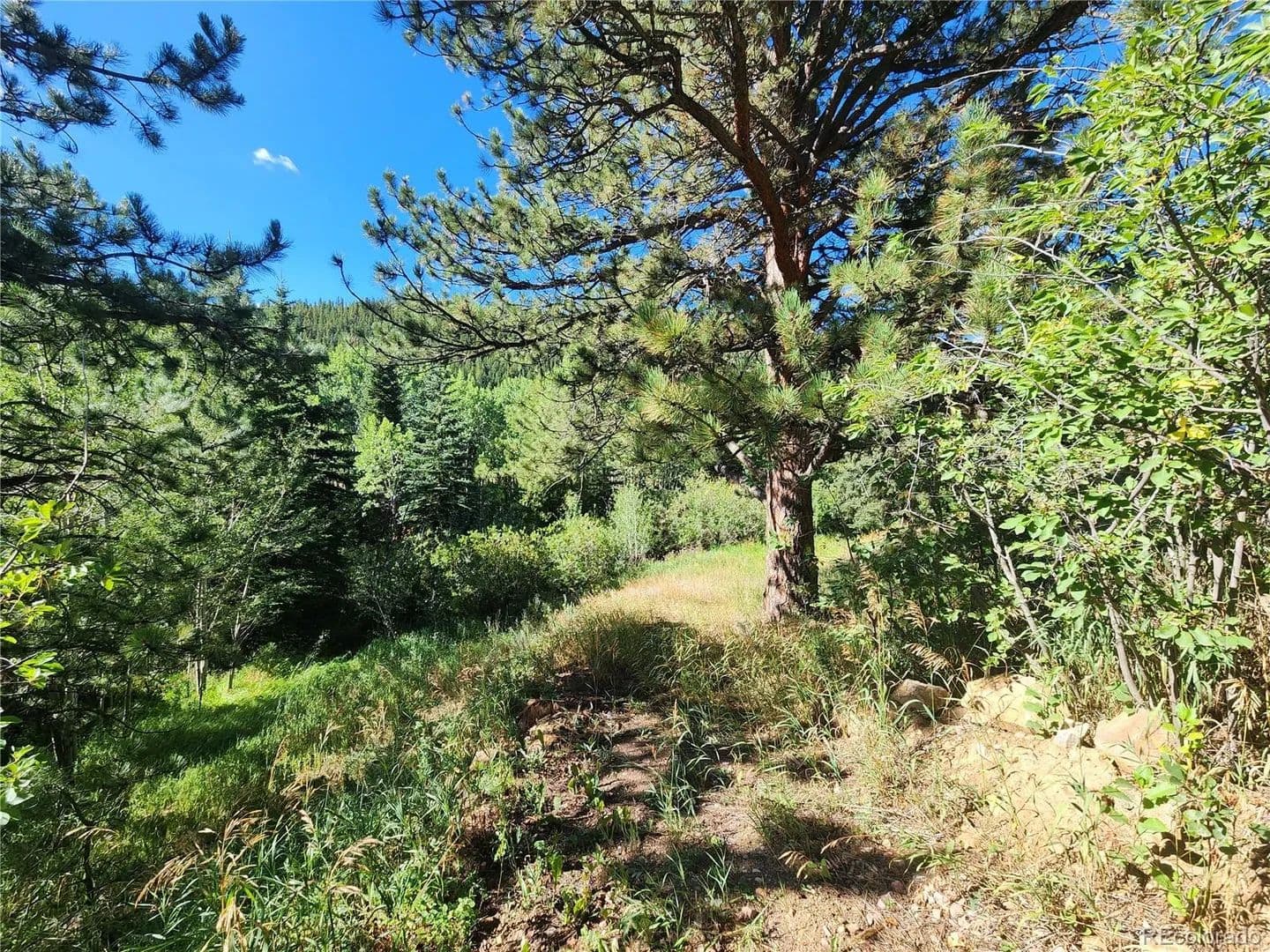 Vacant Land in Nederland - Nederland, Colorado, 80466