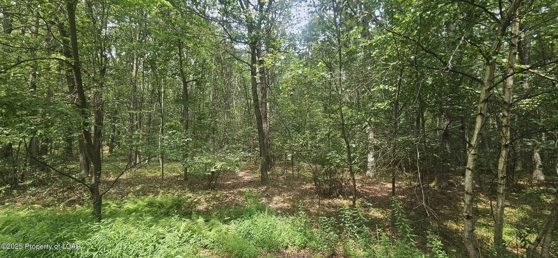 Lots & Land-Other in Sheppton - Sheppton, Pennsylvania, 18248