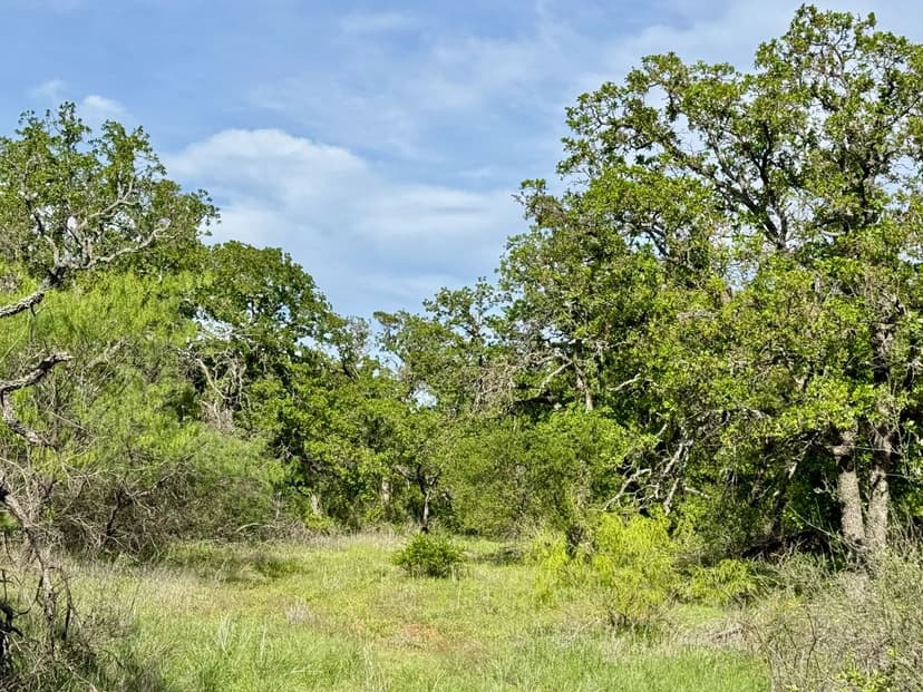 221 +/- Acres....Hunting, Creek, Surface water, Oaks