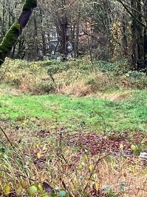 Vacant Land in Duvall