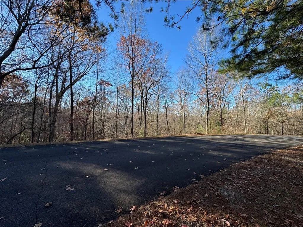 Vacant Land in Ellijay - Ellijay, Georgia, 30540