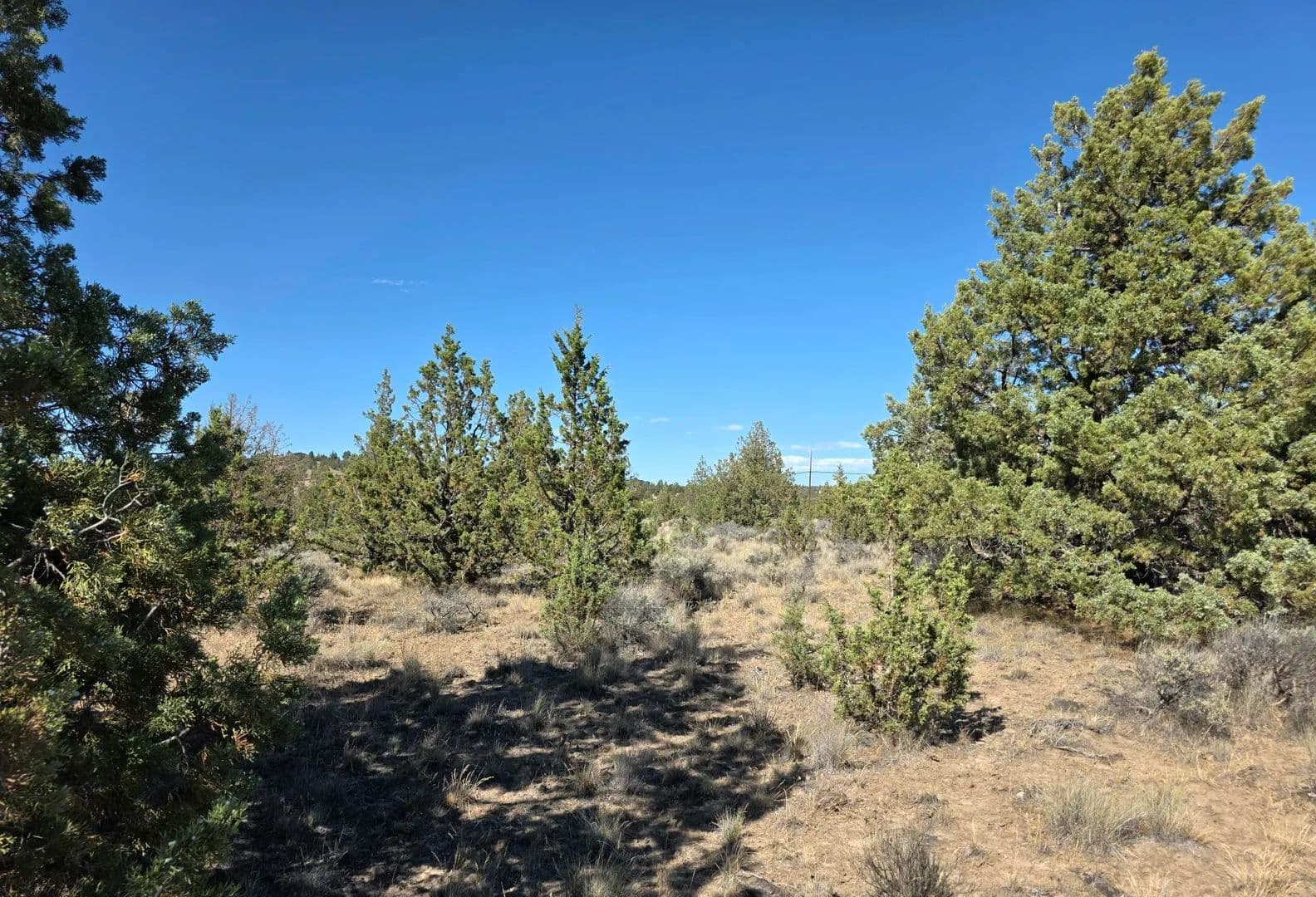 Land -Single Family Acreage in Prineville - Prineville, Oregon, 97754