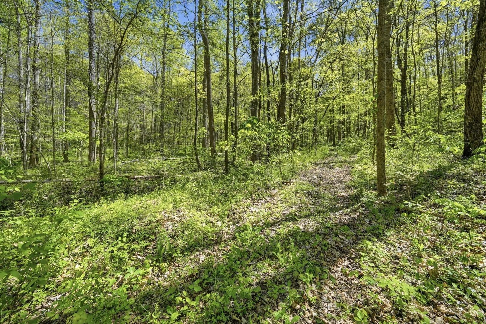 Lots & Land-Other in Beechgrove - Beechgrove, Tennessee, 37018