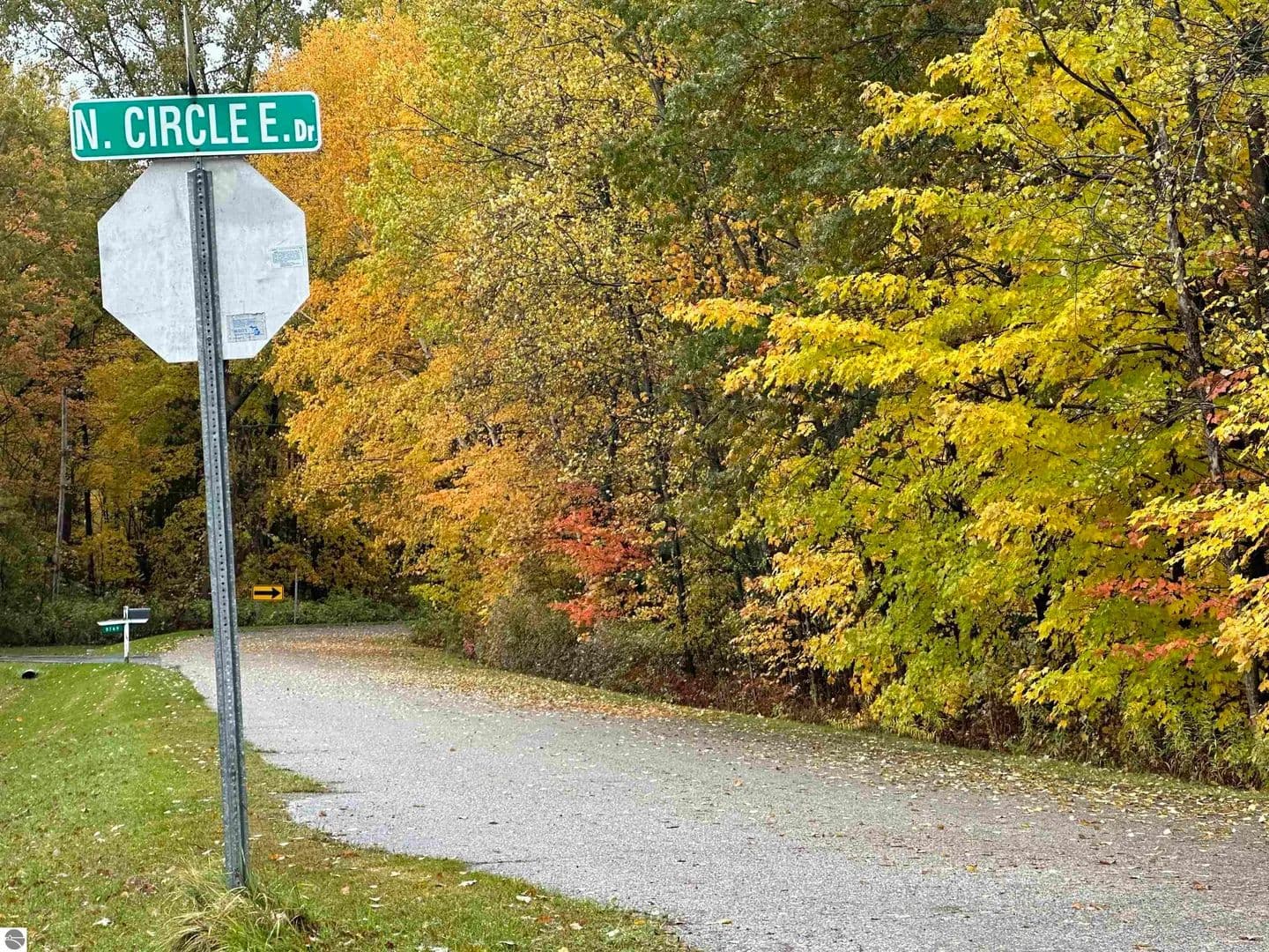Vacant Land in Farwell - Farwell, Michigan, 48622