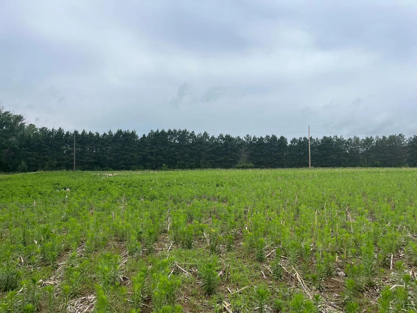 Property from TBD (Lot 4) Hemingway Avenue - KW - North Branch, Minnesota, 55056