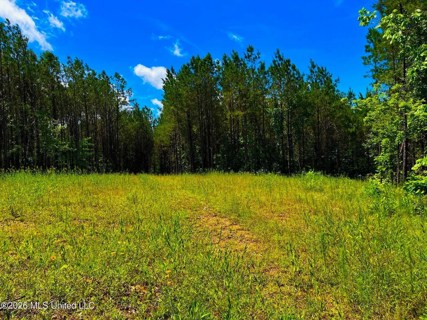 Property from Arthur Drive - KW - Brookhaven, Mississippi, 39601