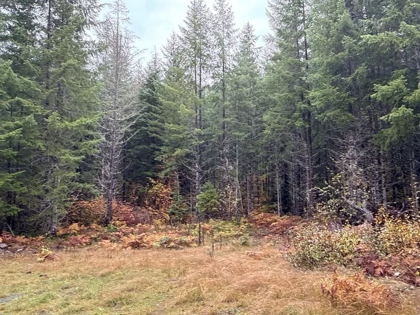 32 acres in Packwood!