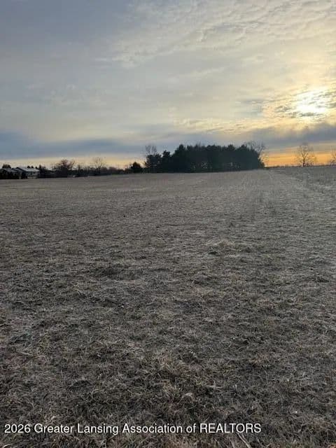 Vacant Land in St. Johns - Michigan, 48879