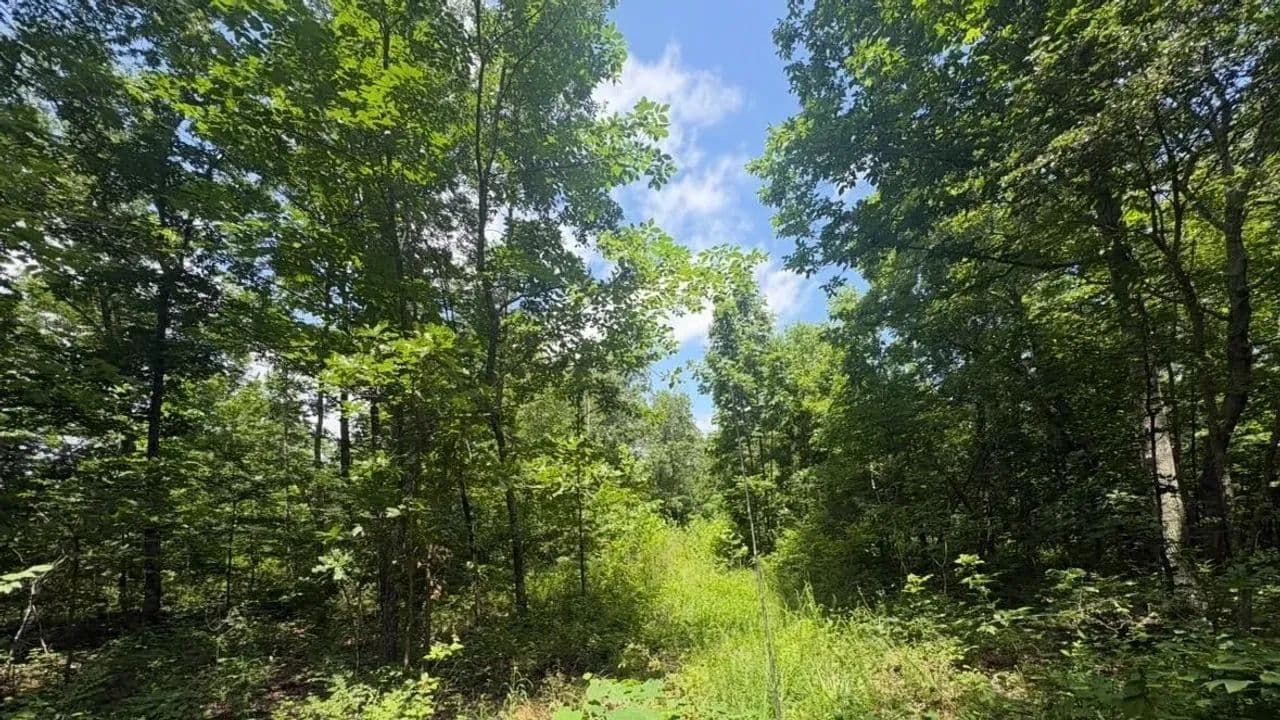 140±AC of Prime Recreational Land in Reynolds Co. - Ellington, Missouri, 63638